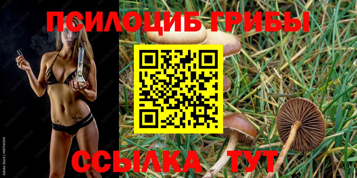 Псилоцибиновые грибы Psilocybine cubensis  Вход с VPN  Люберцы 